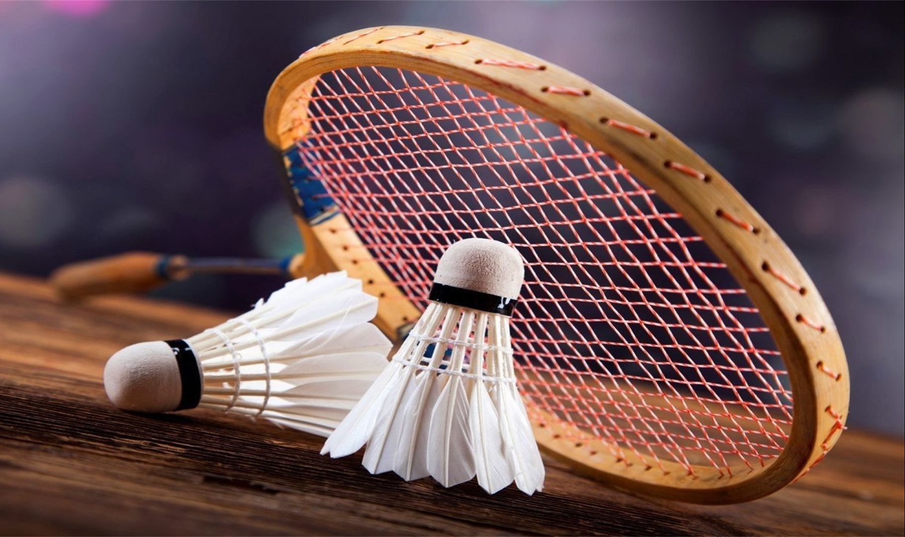 可能的出价 可能的出价