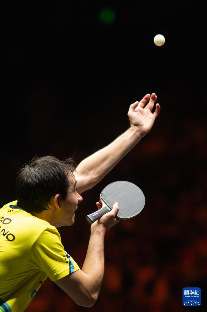 在意甲赛场 在意甲赛场